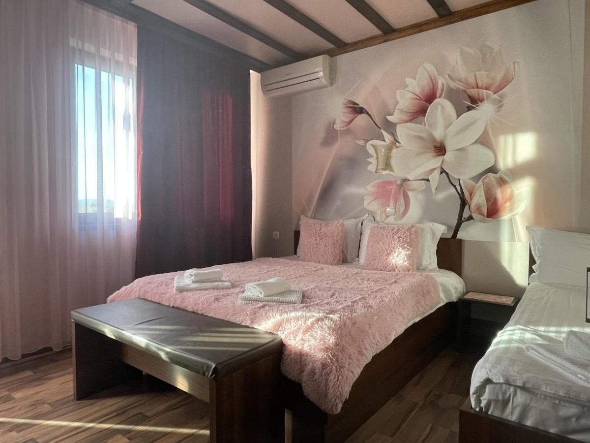 Asya Guest House Sapareva Banya Extérieur photo